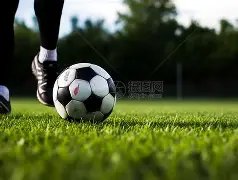 泰森每月耗,巨资吸食大,力图打造,神殿娱乐,神殿娱乐a超凡国际,神殿娱乐官网入口,神殿娱乐官网首页,神殿娱乐官网