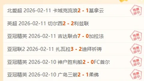 马拉多纳离世：足球传奇的遗产究竟何在？